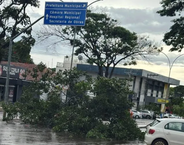Ponta Porã: Chuvas com vento forte atinge a cidade neste sábado (10)