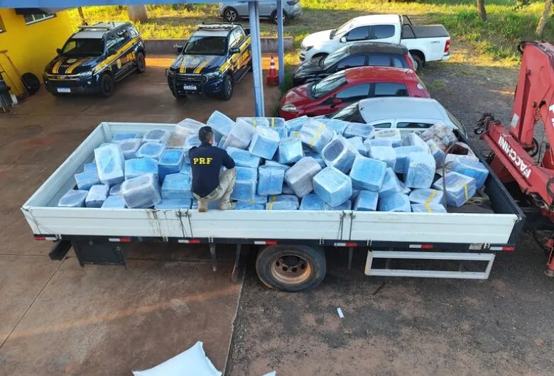 Quase 5t de maconha são apreendidas em meio a carga de sementes de girassol