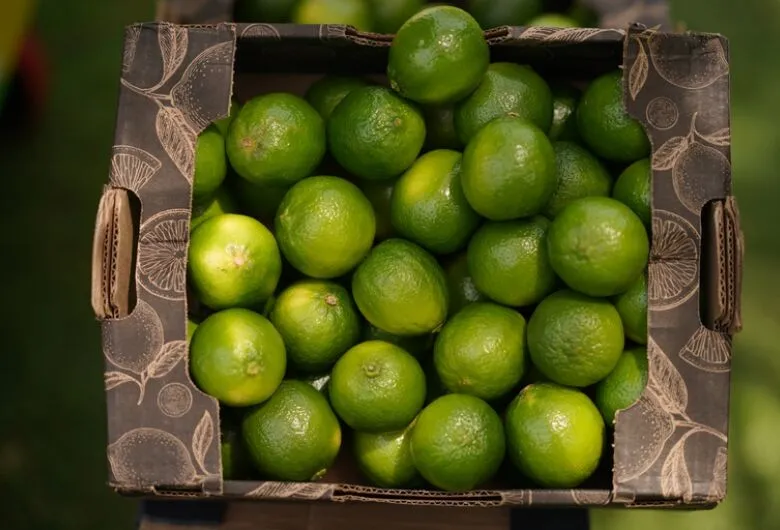 Frutas brasileiras ganham espaço no mercado indiano após missão de promoção internacional