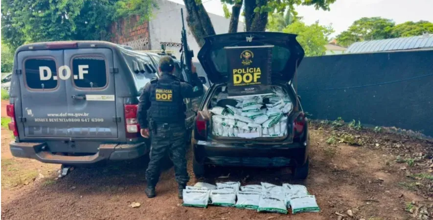 DOF apreende 700 quilos de agrotóxicos no Assentamento Itamarati