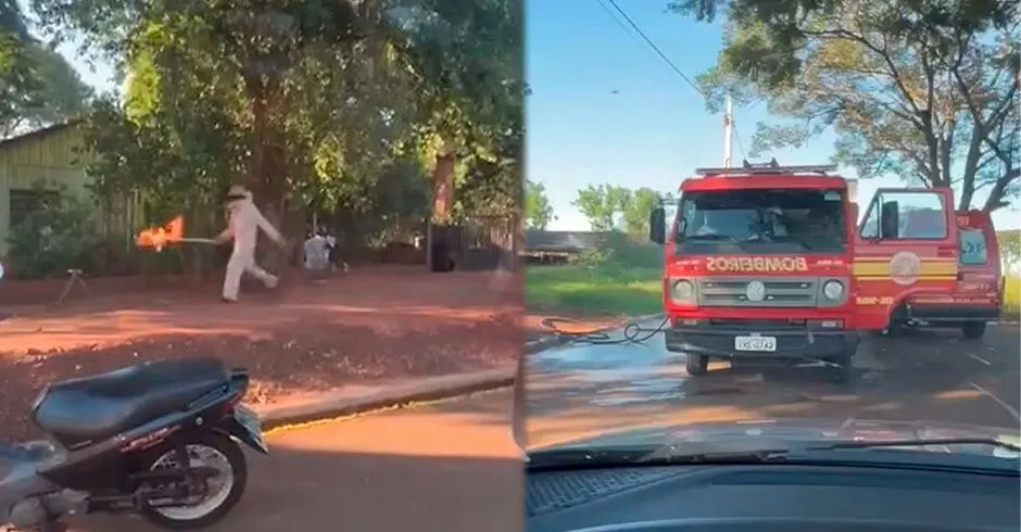 Família é atacada por abelhas e cachorro morre em Fátima do Sul